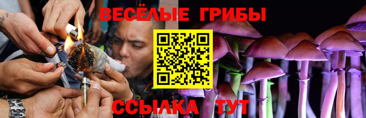 Псилоцибиновые грибы MAGIC MUSHROOMS  Галлюциногенные грибы MAGIC MUSHROOMS  Вход с VPN  Норильск 